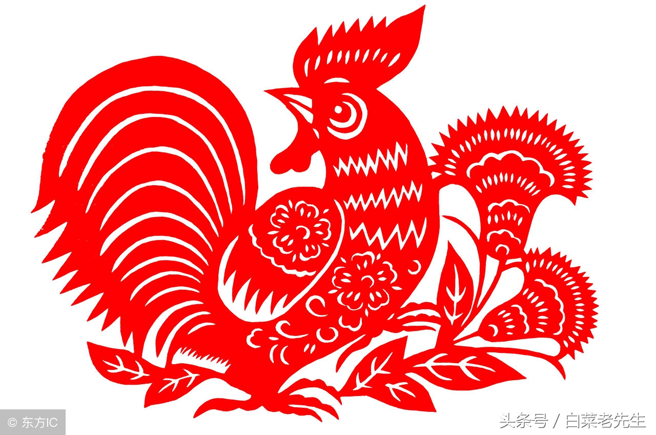 梦见十二属相是什么意思,梦到十二生肖体像