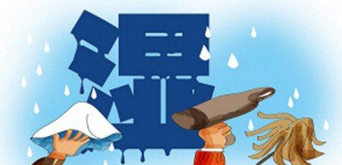 中医所说的湿是什么,中医中的湿究竟是什么