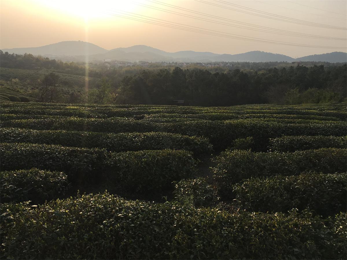 地铁去高淳老街怎么去,从南京如何坐地铁到高淳老街