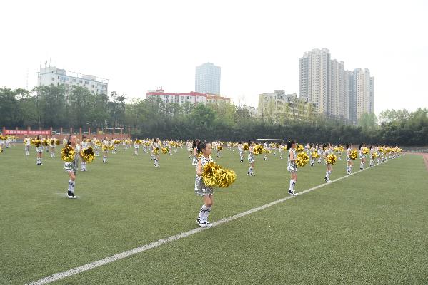 重庆两江新区2024中小学足球联赛,两江新区校园足球联赛乙组