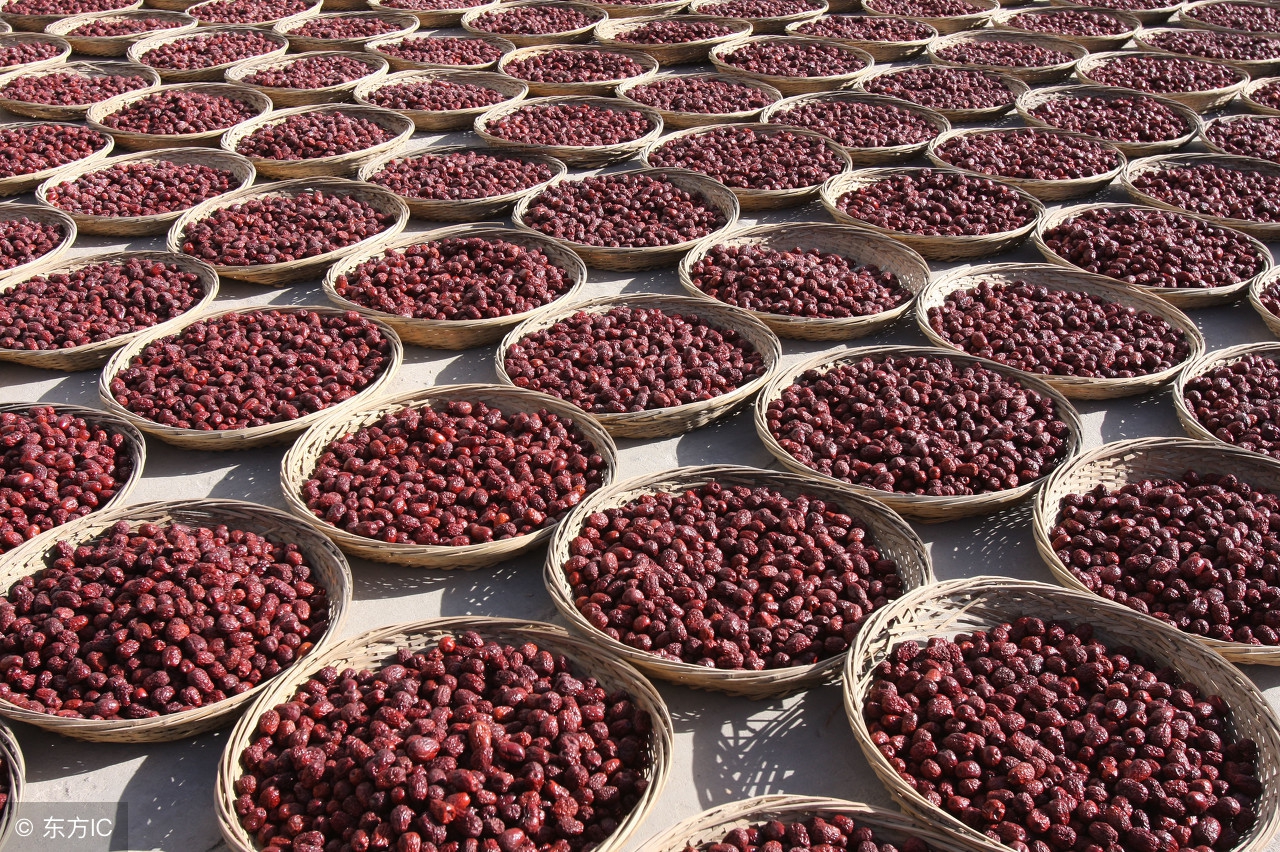 红枣众筹,您有什么建议?