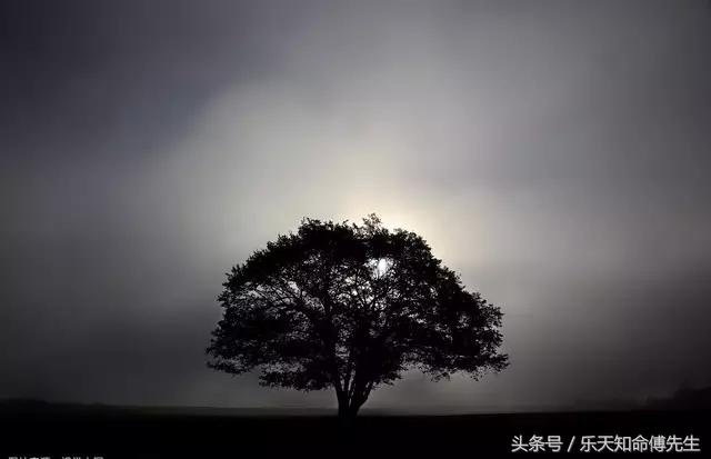 渊海子平论辛亥日柱男命,女命八字深度解读