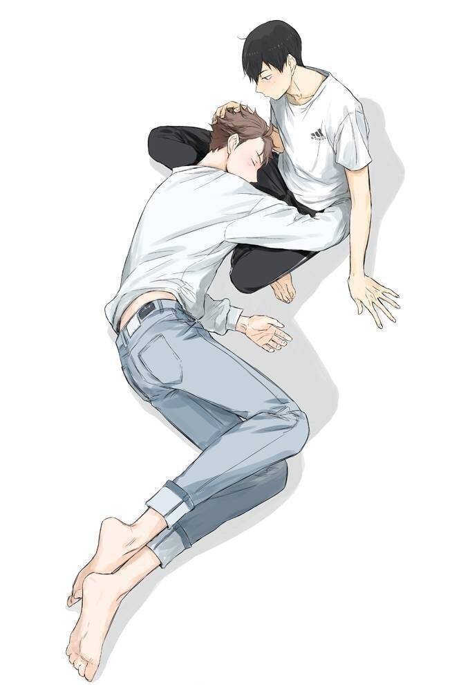 耽腐文推:吸猫文，苏萌小甜饼，了解一下