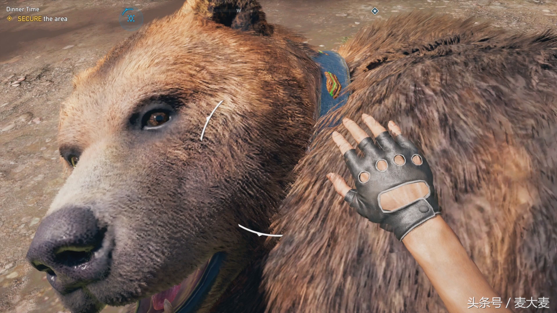 孤岛惊魂5ps4攻略第一季,孤岛惊魂5黄金版游戏解说