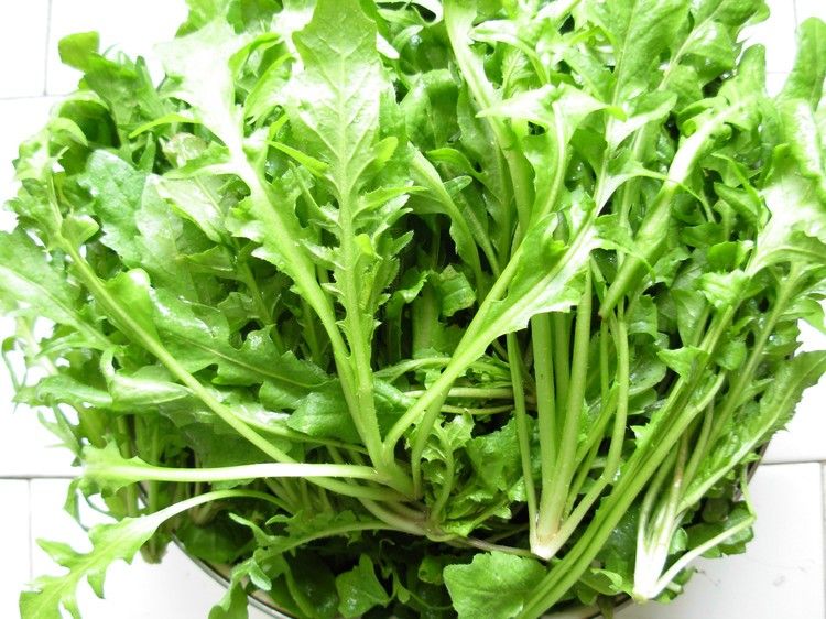 春天多吃4种野菜防病又营养,春季吃野菜牢记这4点