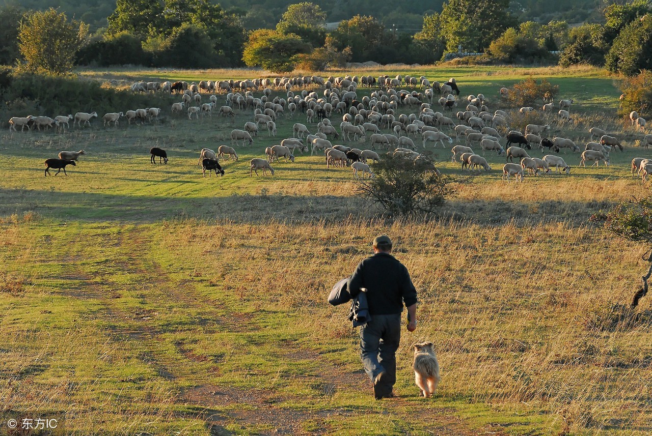 慢性前列腺炎中医挂什么科,慢性前列腺炎的中医治疗