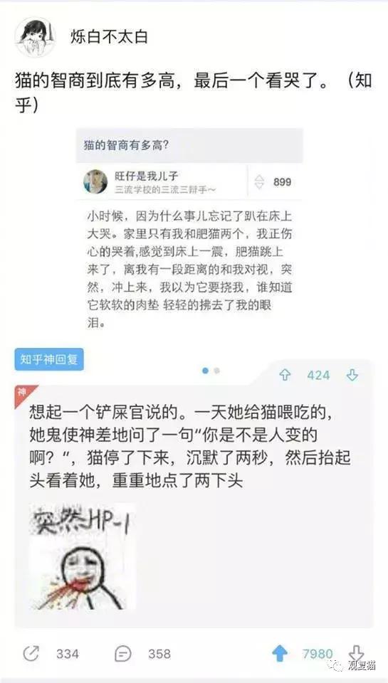 喵星人战斗力有多强,喵星人智商101