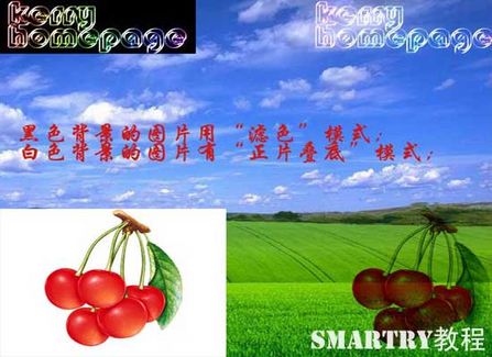 抠图抠不干净ps用哪个工具,ps抠图和ai抠图区别