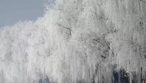 瀵逛笉璧锋垜鍔濅綘鍒潵骞垮窞,瀵逛笉璧锋垜鍔濅綘鍒潵娣卞湷