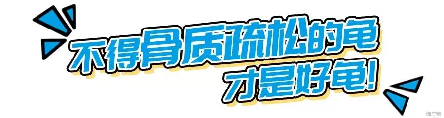 五羊本田电动龟,五羊本田净原龟