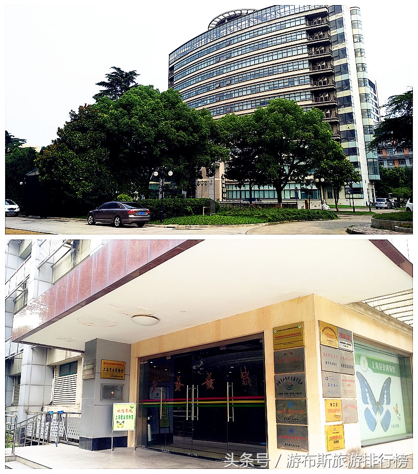 上海昆虫博物馆蜘蛛,上海昆虫博物馆珍藏馆