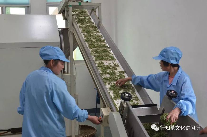 温州问道,温州问界