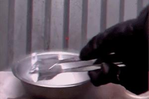 冻在冰里的鱼复活,液氮冻住活鱼24小时还能复活