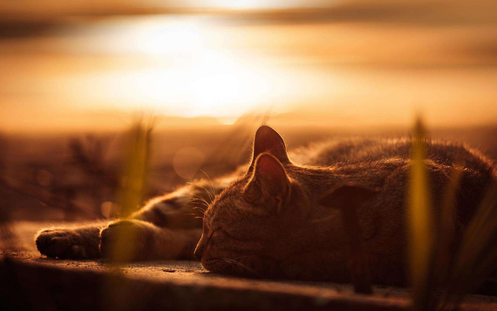 怎么克服愤怒的心理学,如何应对愤怒情绪