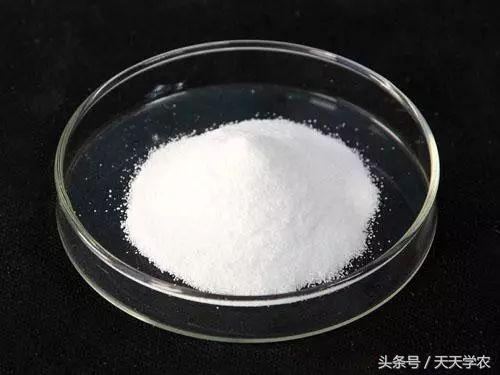 九二零赤霉素有毒吗,九二零赤霉素对果树影响