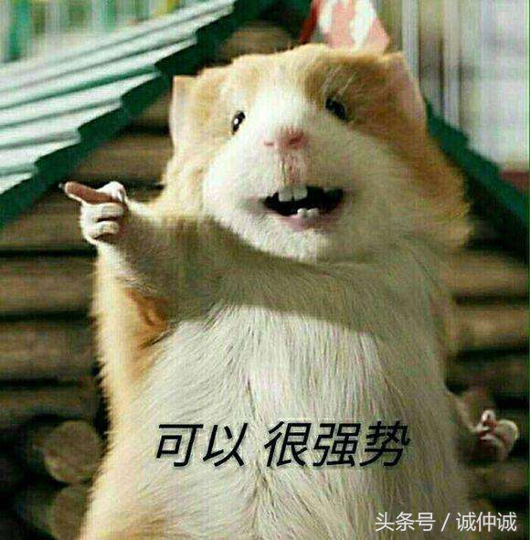 女朋友和足球你选哪个,女朋友和足球一样重要