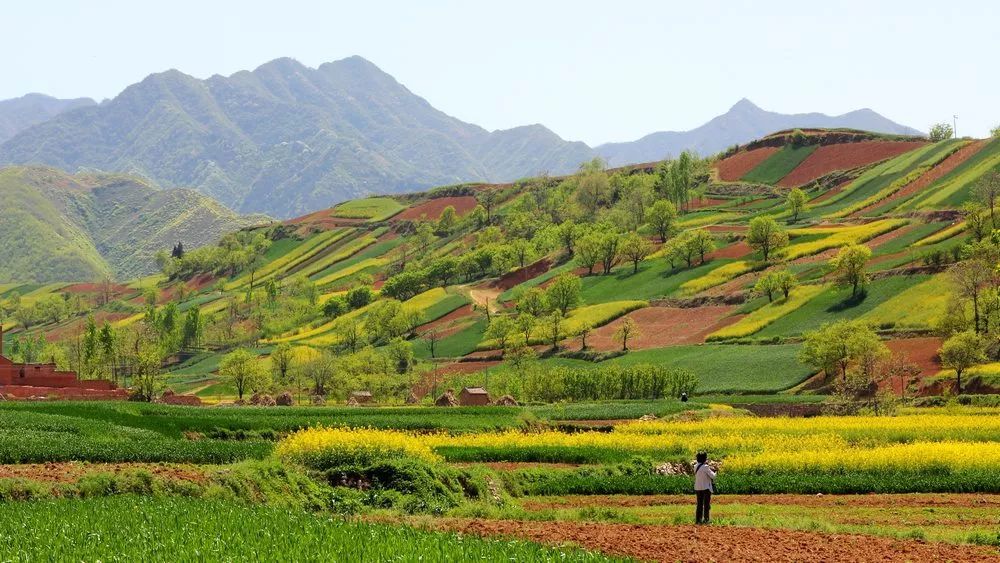 西安清明自驾,西安清明自驾免费景点