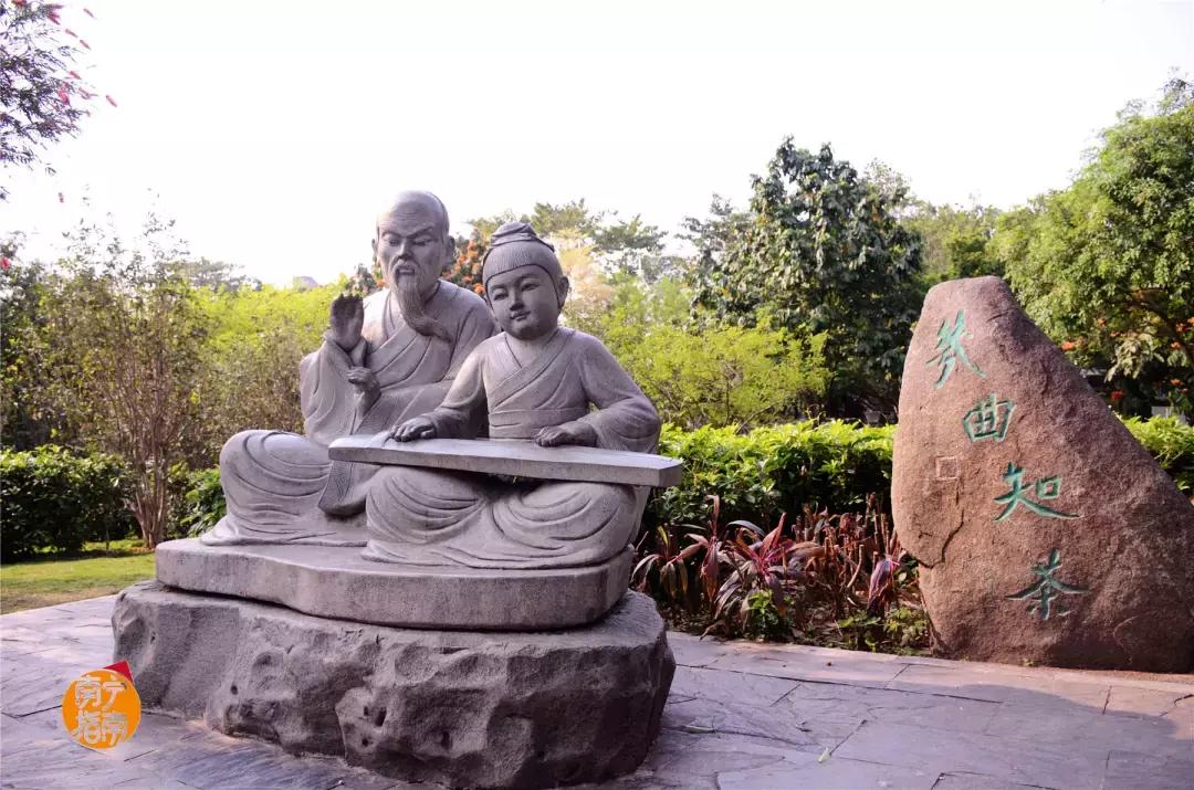 金花茶公园景点,走进金花茶公园