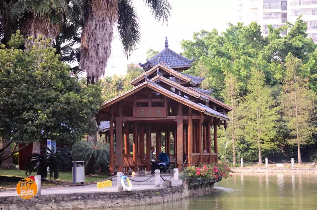 金花茶公园景点,走进金花茶公园