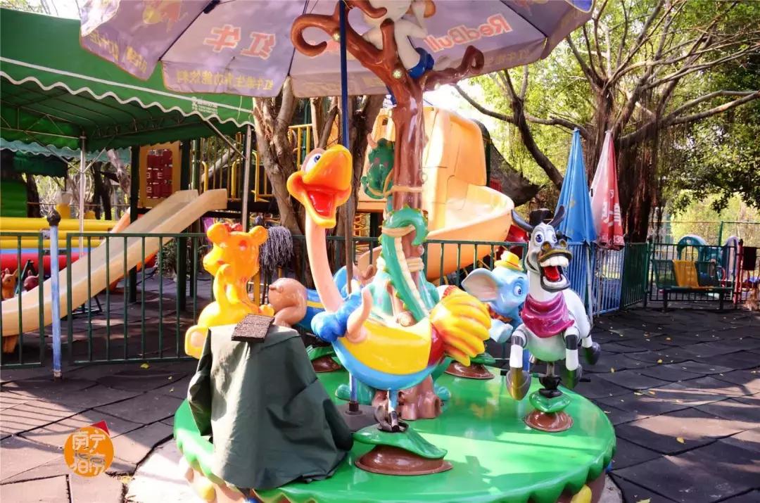 金花茶公园景点,走进金花茶公园