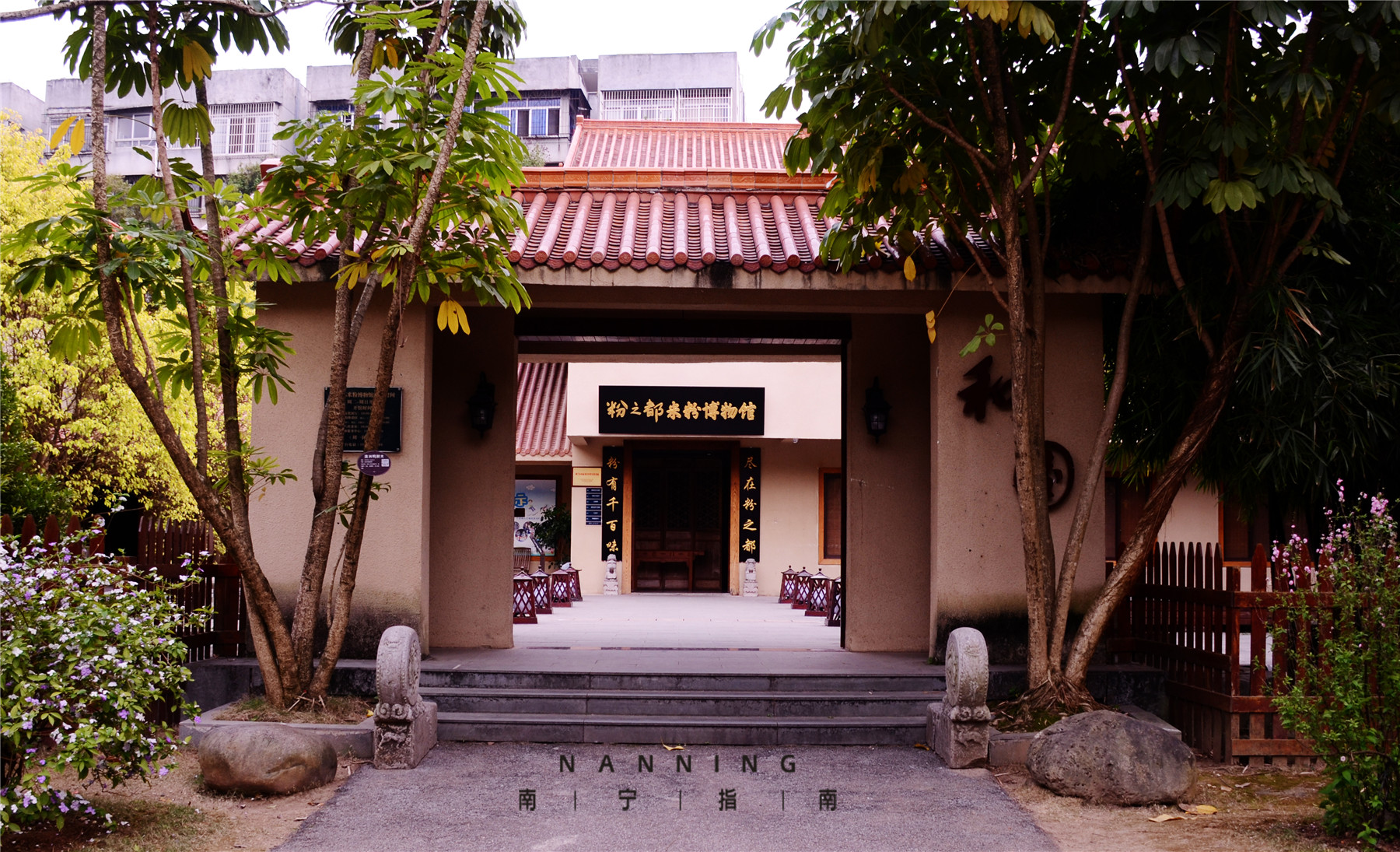 金花茶公园景点,走进金花茶公园