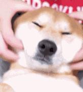 设计师简历怎么写实工作经历,设计师简历没经验学长教你这样写