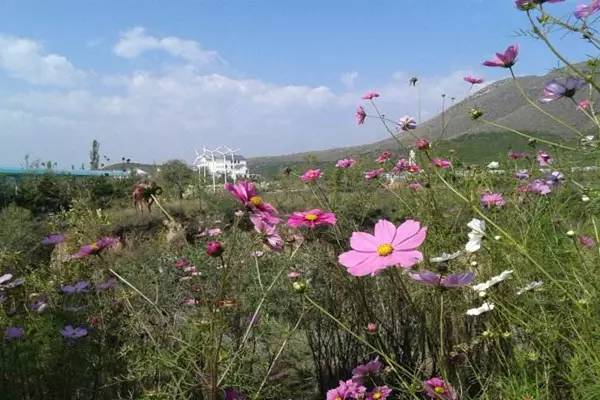 从太原自驾到临汾需要几个小时,从太原自驾到成都