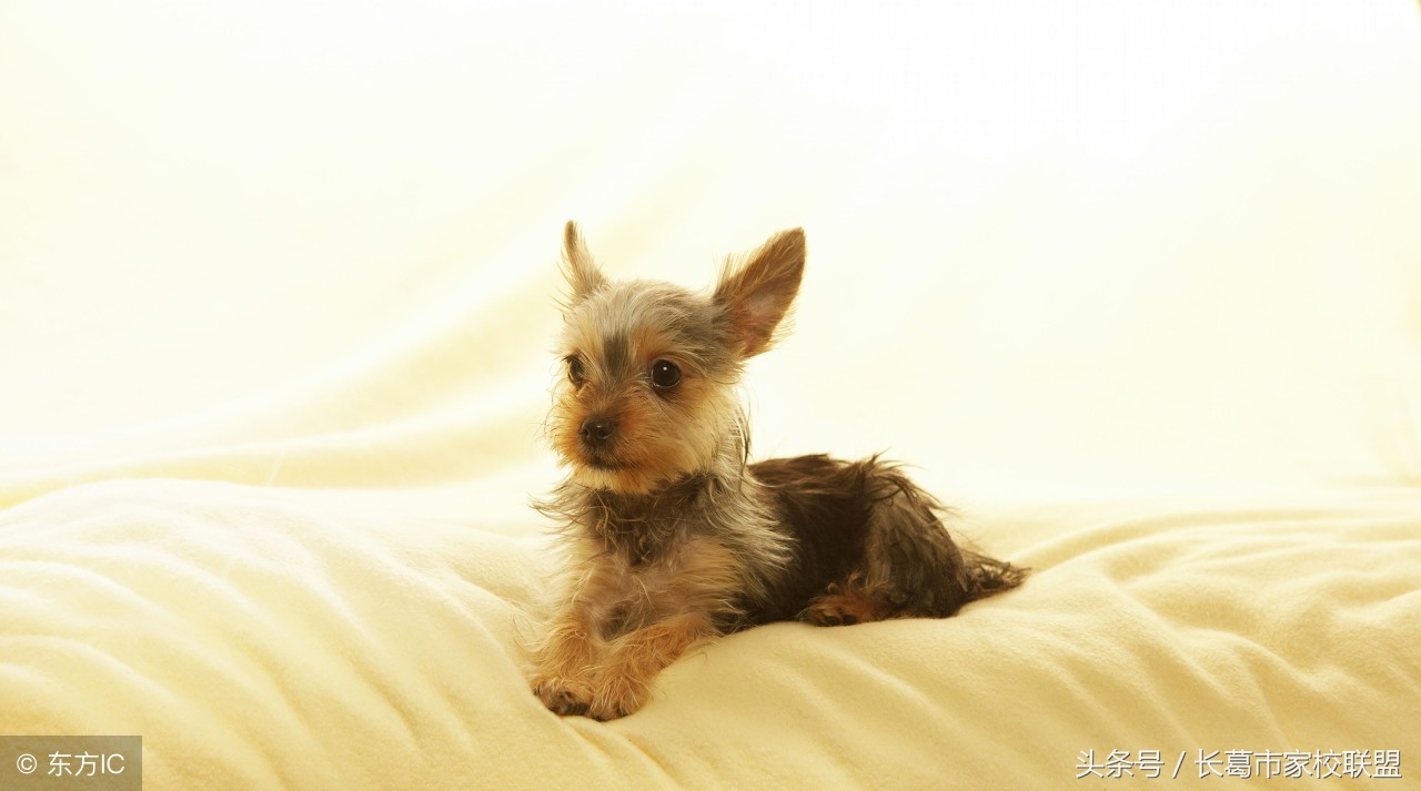 普通话测试说话30题,普通话命题会话30篇音频