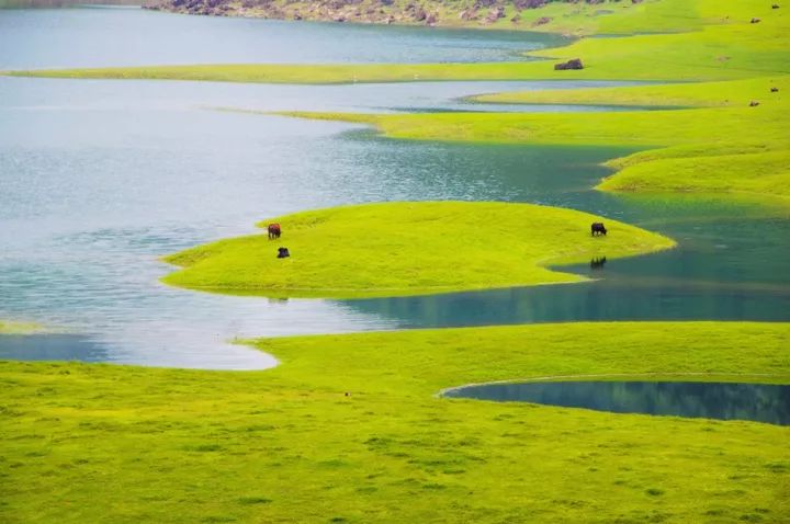 广西最美花海在哪里,广西小众美丽村庄