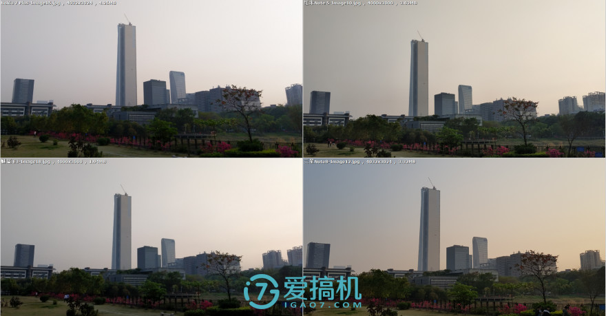 卓尔不群3种效果,卓尔不群三色对比