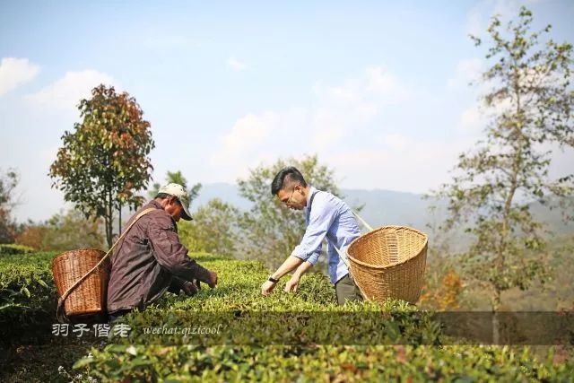 云南沧源靠近哪个国家,云南沧源最好玩的地方