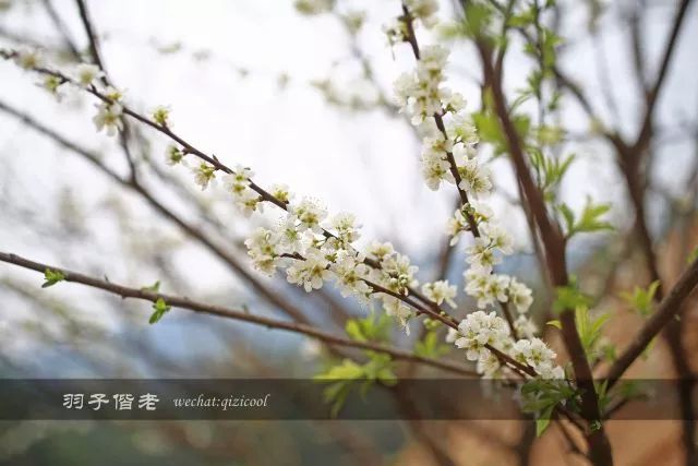 云南沧源靠近哪个国家,云南沧源最好玩的地方