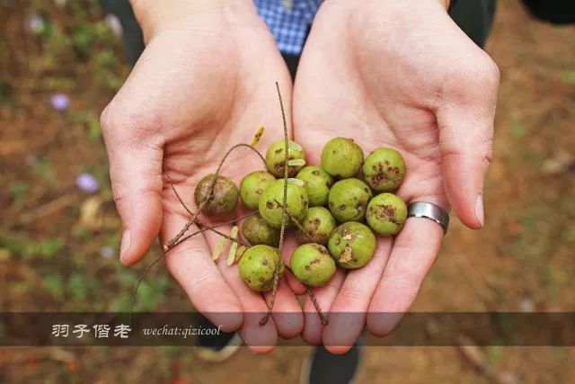 沧源，云南一个神秘的地方