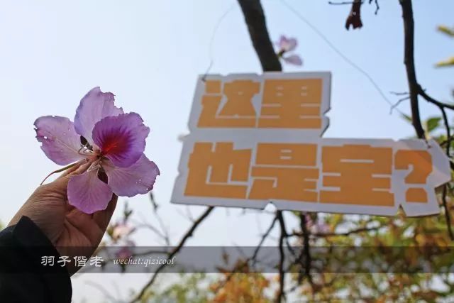 云南沧源靠近哪个国家,云南沧源最好玩的地方