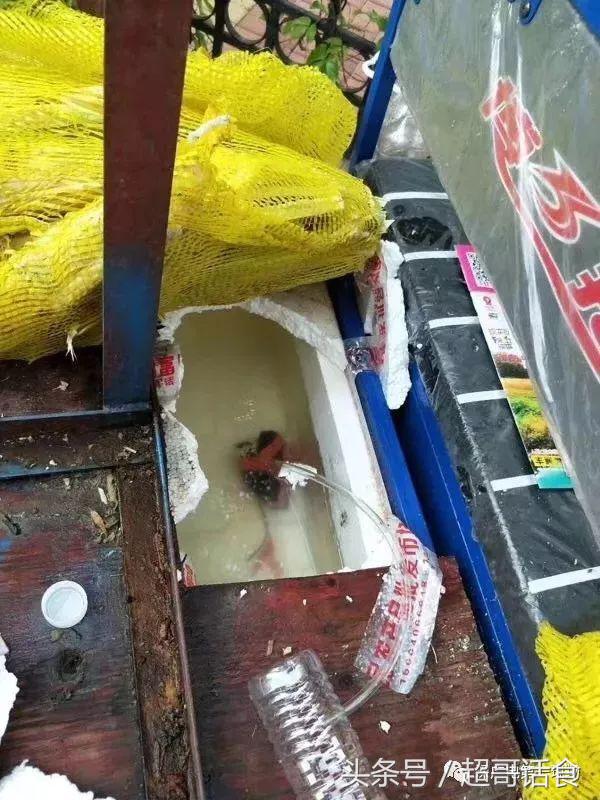 路边甘蔗汁榨汁,路边鲜榨甘蔗糖是真的吗