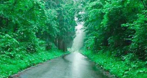 豆瓣8.2分烧脑片日本,豆瓣9分以上的日本女性电影