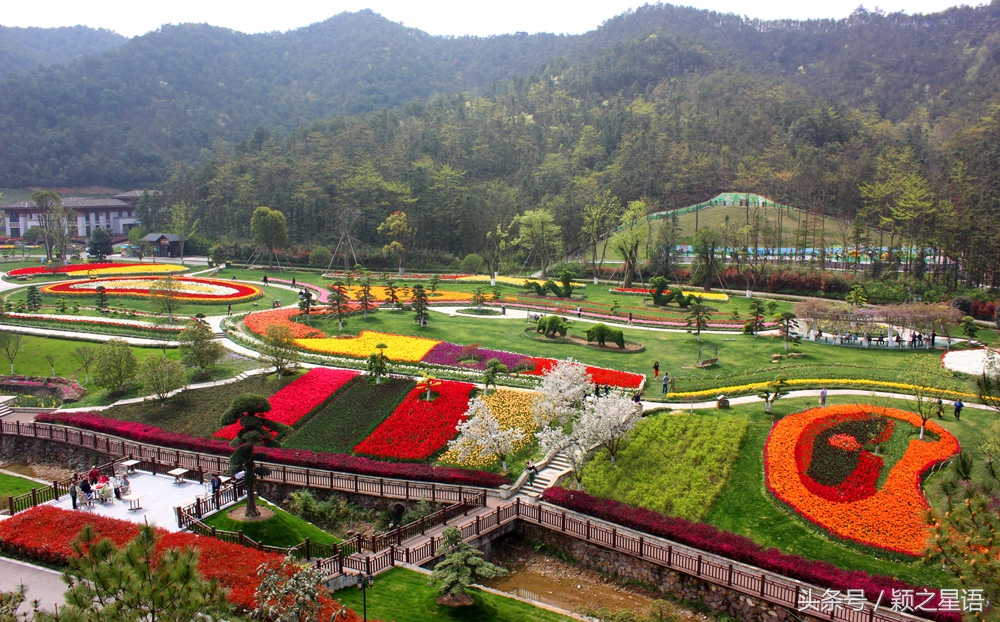 宁波植物园樱花最佳拍摄,花花世界桃博园