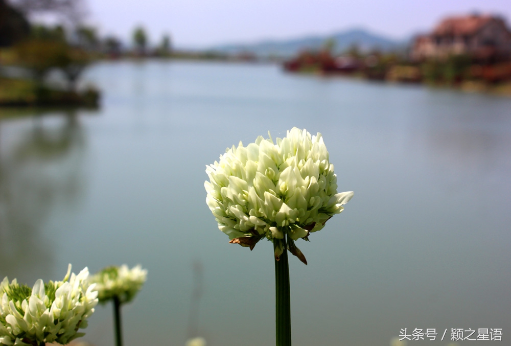 宁波植物园樱花最佳拍摄,花花世界桃博园