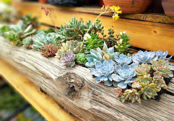 深圳东莞附近游玩景点一日游,深圳东莞游玩景点推荐周边自驾游