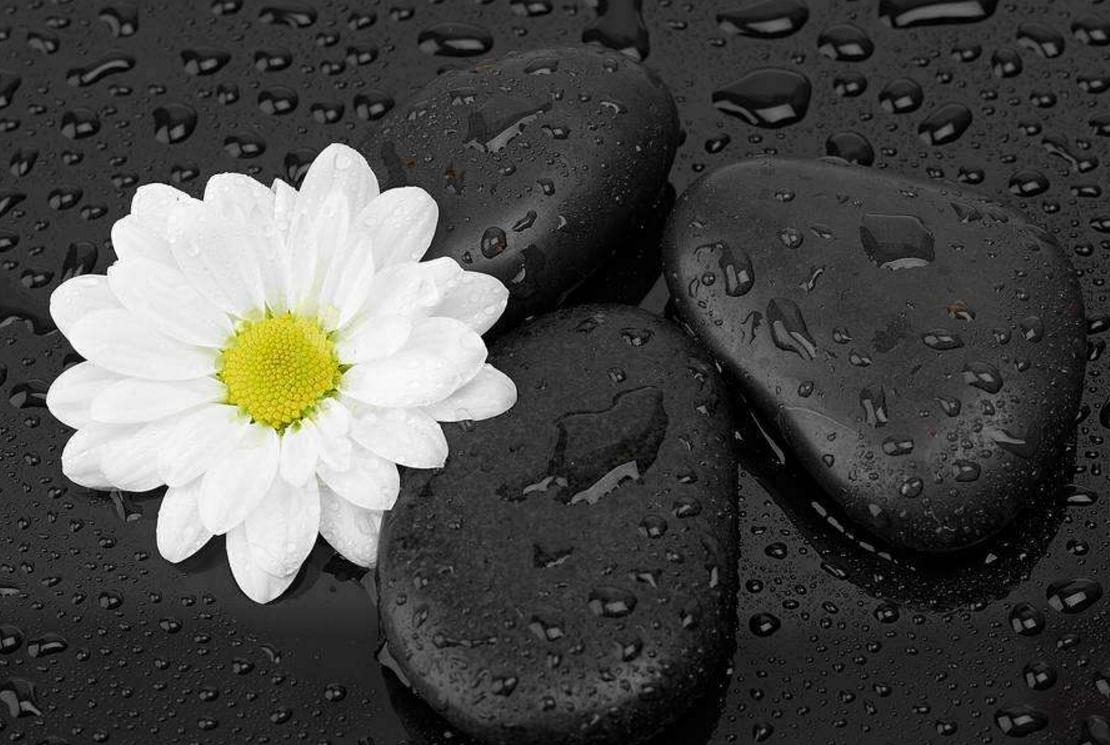 人到落魄时应该怎么做,落魄后如何醒悟自救