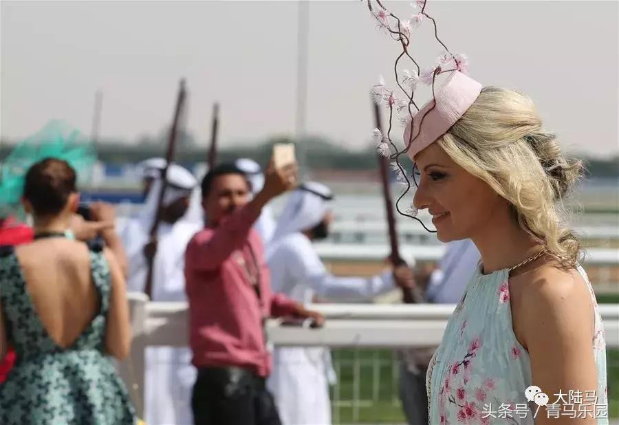 赛马节马的装扮,第27届迪拜赛马世界杯