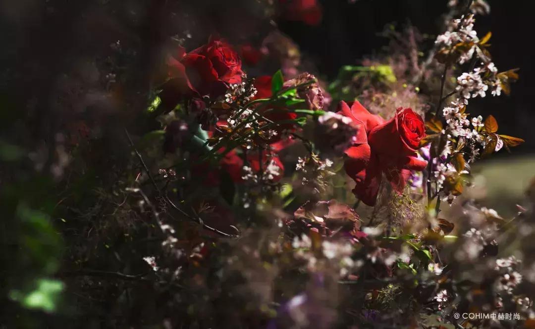 花艺设计师可以转行做什么,花艺设计每天都需要做些什么事情