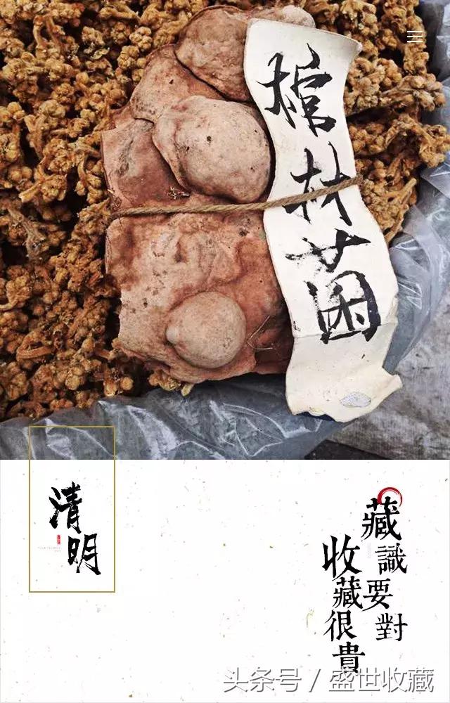 今天我想跟你谈谈作文,今天我想和你说说心里话
