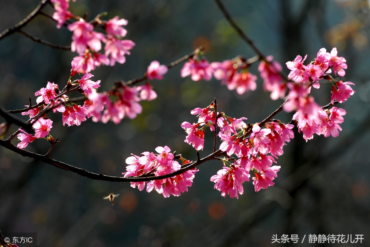 同甘共苦只能同甘不能共苦的图片,同甘共苦只能同甘不能共苦啥意思