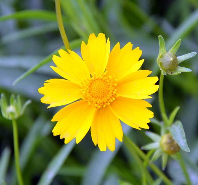 我想要的不过是你明目张胆的偏爱,我想要的不过是你英文歌