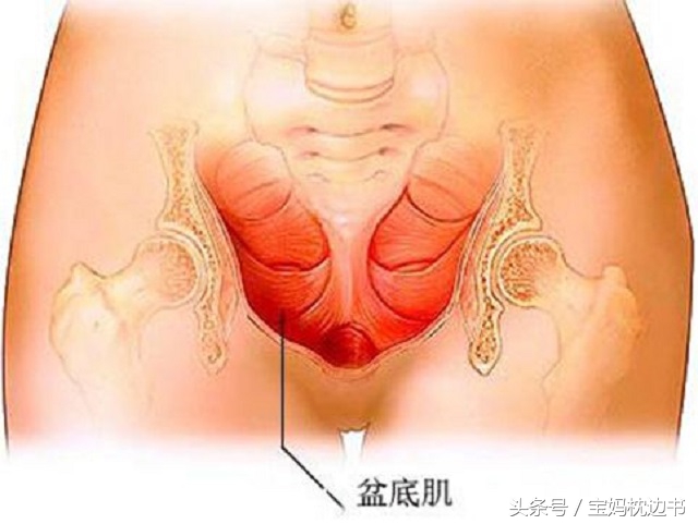 妈妈产后检查有必要吗,宝妈多久做产后检查