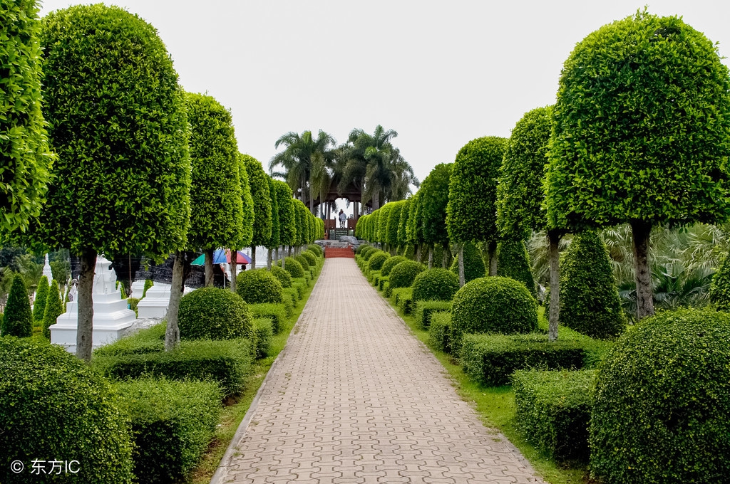 上海辣妈泰国游,泰国游记