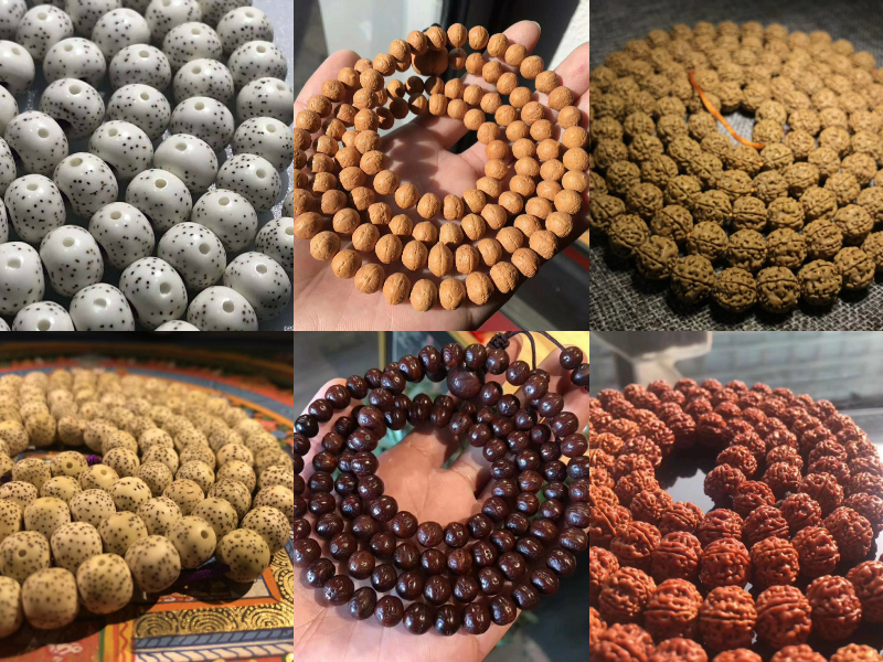 怎样判断菩提的品质好坏,如何鉴定菩提是真还是假