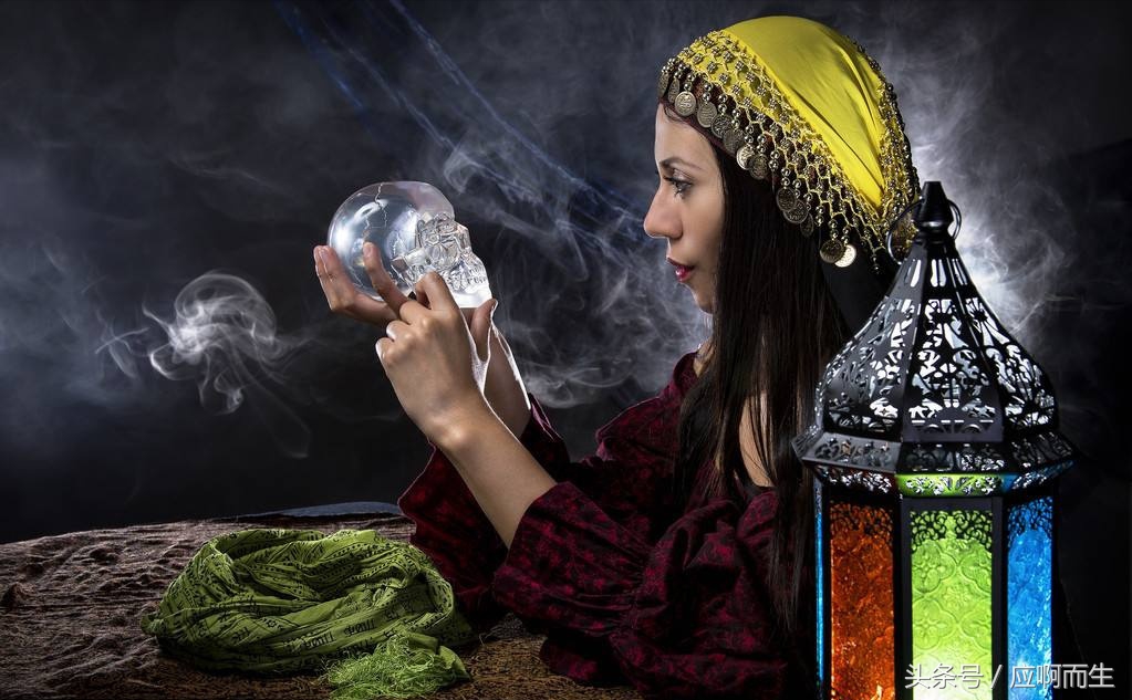 十二生肖怕人的生肖,蟑螂对应十二生肖什么动物