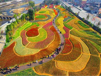 武汉外语外事职业学院周围环境,武汉外语外事职业学院等你来